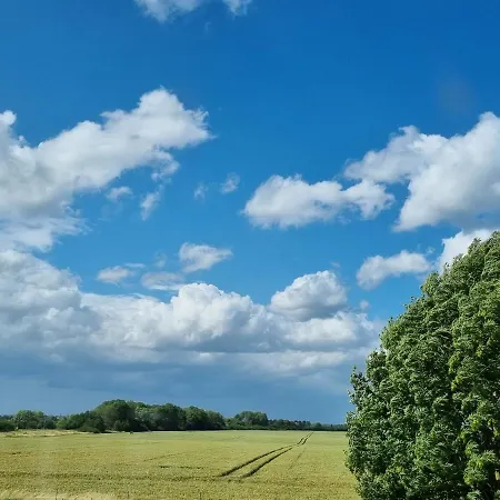 Scheune In Ostseenaehe Auch Mit Pferd Holiday home